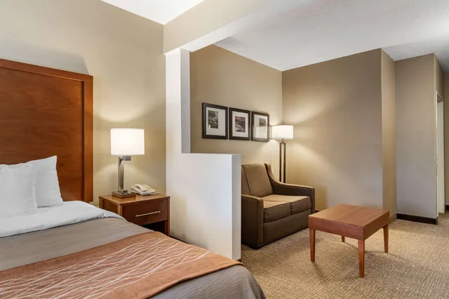 جناح بسرير كينج مع أريكة، Comfort Inn Suites Suwanee Sugarloaf 4/10