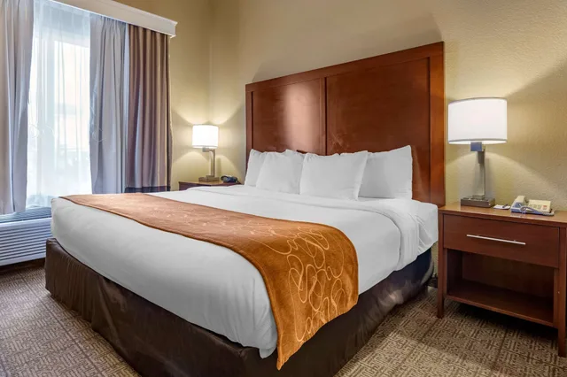 جناح بسرير كينج مع أريكة لذوي الإعاقة، Comfort Suites Jonesboro University Area 1/2