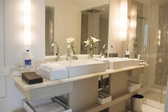 جناح رئاسي بغرفة نوم واحدة، Le Meridien Gurgaon 4/9