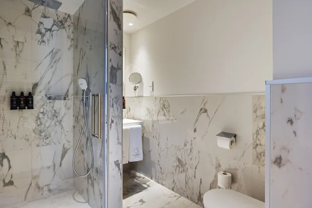 غرفة كلاسيكية بسرير كينج، Aurea Ana Palace Hotel 6/7