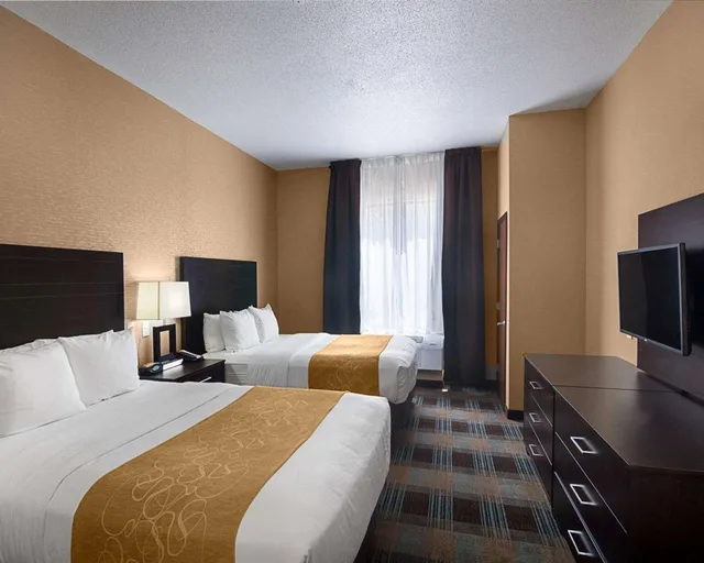 جناح بسريرين كوين لذوي الإعاقة، Comfort Suites Houston West At Clay Road 1/2