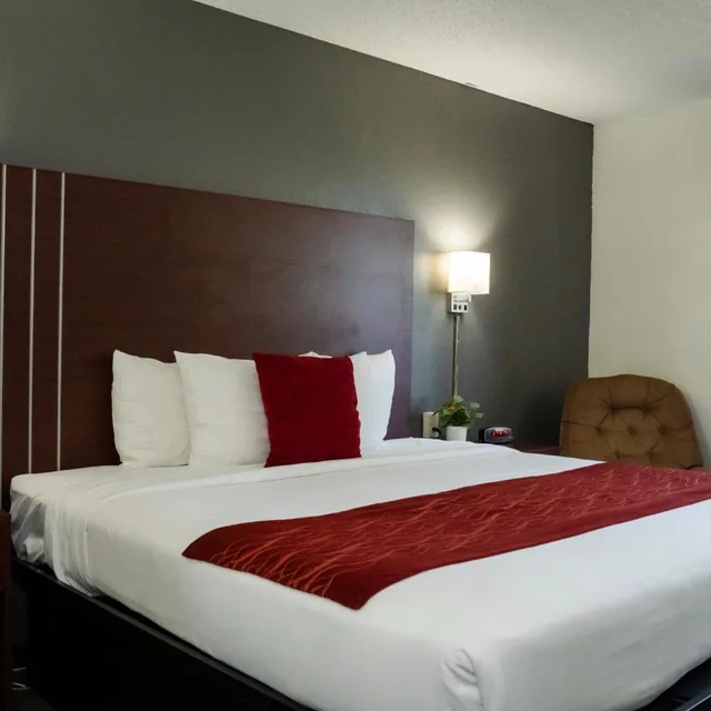 غرفة بسرير كينج لذوي الإعاقة، New Victorian Inn York 2/8