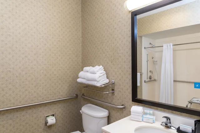 غرفة بسرير كينج بحوض استحمام لذوي الإعاقة، Hampton Inn & Suites Valparaiso 6/7