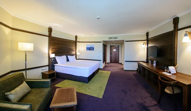 غرفة تنفيذية بسرير مزدوج أو سريرين منفصلين، Hot Springs Medical & Spa Hotel 5/8