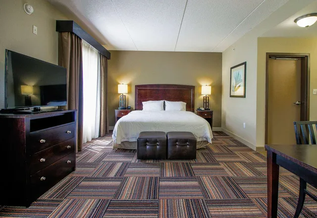 جناح استوديو بسرير كينج مع أريكة، Hampton Inn And Suites Flowery Branch 1/2