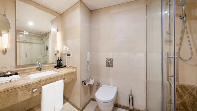 غرفة قياسية مفردة، Ramada Plaza By Wyndham Istanbul City Center 6/12