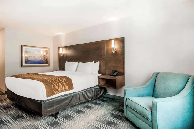 غرفة قياسية بسرير كينج، Comfort Inn & Suites East Ellijay, GA 1/3