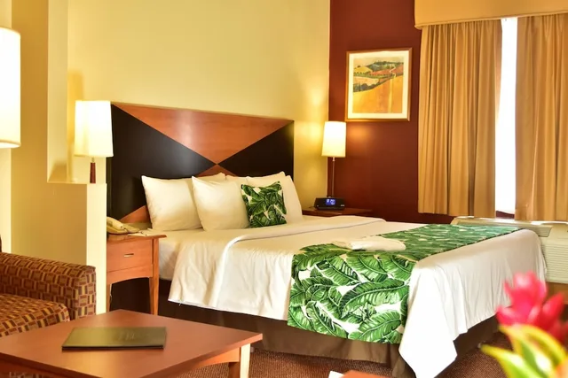 جناح بسرير كينج مع أريكة، Sleep Inn Hotel Paseo Las Damas 6/8