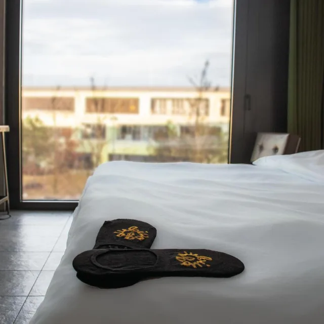 غرفة سوبيريور بسرير مزدوج أو سريرين منفصلين، Gambino Hotel Cincinnati 4/5