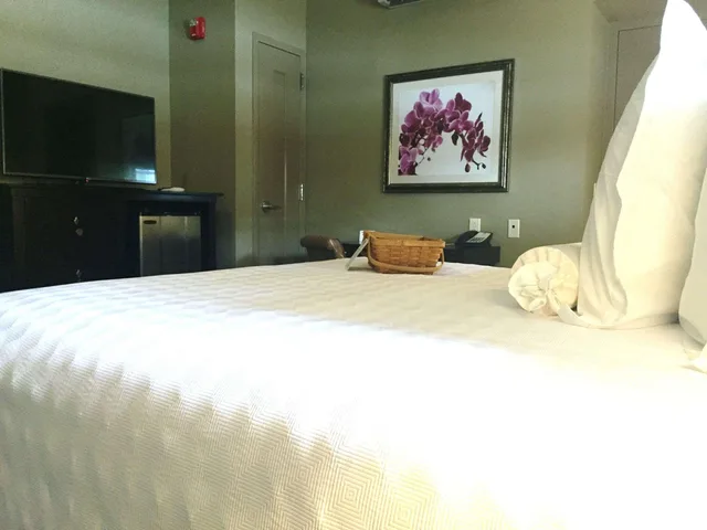 Room, King Bed, The Bolling Wilson Hotel 1/2