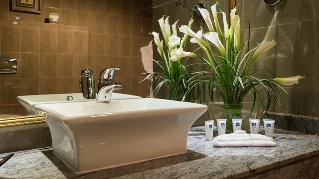 جناح بسريرين منفصلين، Best Western Plus Doha 3/3