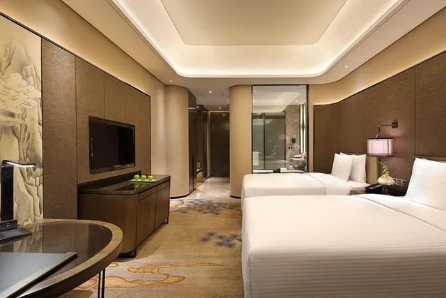 غرفة ديلوكس بسريرين منفصلين، Wanda Realm Taian 1/6