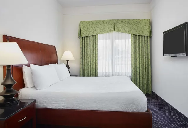 Evolution, King Bed، Hilton Garden Inn Rockville-Gaithersburg 3/4