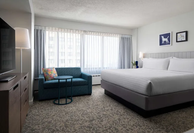 استوديو لذوي الإعاقة، Sonesta ES Suites Chicago Downtown Magnificent Mile 1/3