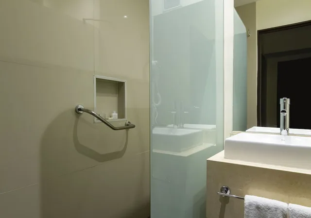 جناح جونيور قياسي، Park Royal Buenos Aires managed by Accor 9/10
