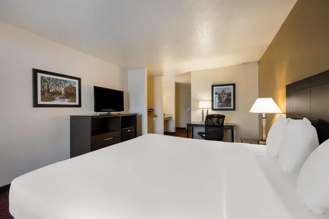 Room, King Bed, Accessible, Best Western Salinas Valley Inn & Suites 3/8