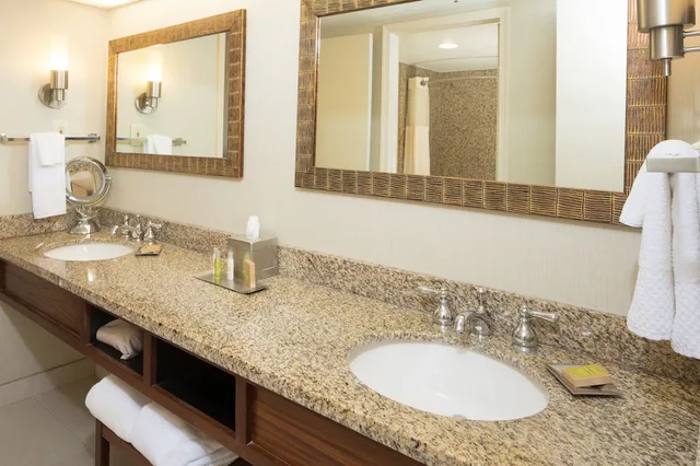Junior Suite, Studio, King Bed، Hilton Philadelphia Airport 4/7