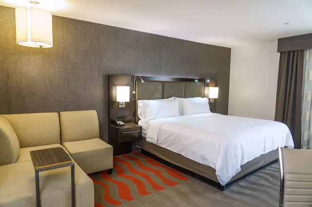 غرفة بريميوم بسرير كينج بإطلالة على المدينة، Holiday Inn New Orleans - Downtown Superdome 1/8