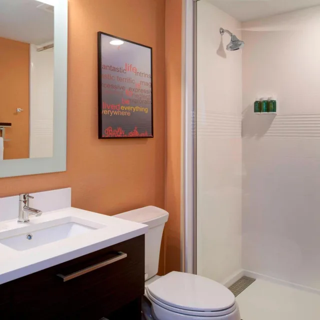 استوديو بسرير كينج مع أريكة لذوي الإعاقة، Towneplace Suites By Marriott Grand Rapids Airport 2/4