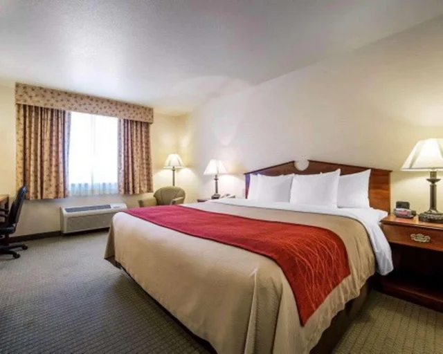 غرفة بسرير كينج يُسمح فيها بالحيوانات الأليفة، SureStay Plus Hotel by Best Western Buffalo 2/3