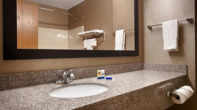 غرفة قياسية بسرير كينج لذوي الإعاقة، Best Western Pontiac Inn 5/6