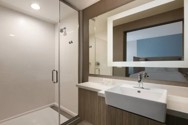 جناح بسريرين كوين مع سرير سحّاب إضافي مع أريكة لذوي الإعاقة، Springhill Suites By Marriott Dallas Dfw Airport South/Centreport 4/8