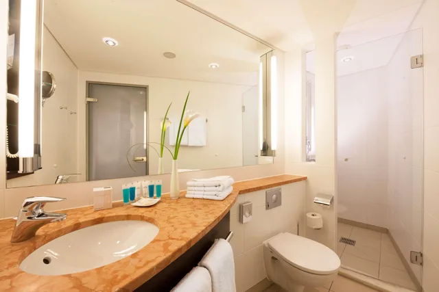 غرفة سوبيريور بسرير مزدوج، Dorint Hotel An Der Kongresshalle 4/5