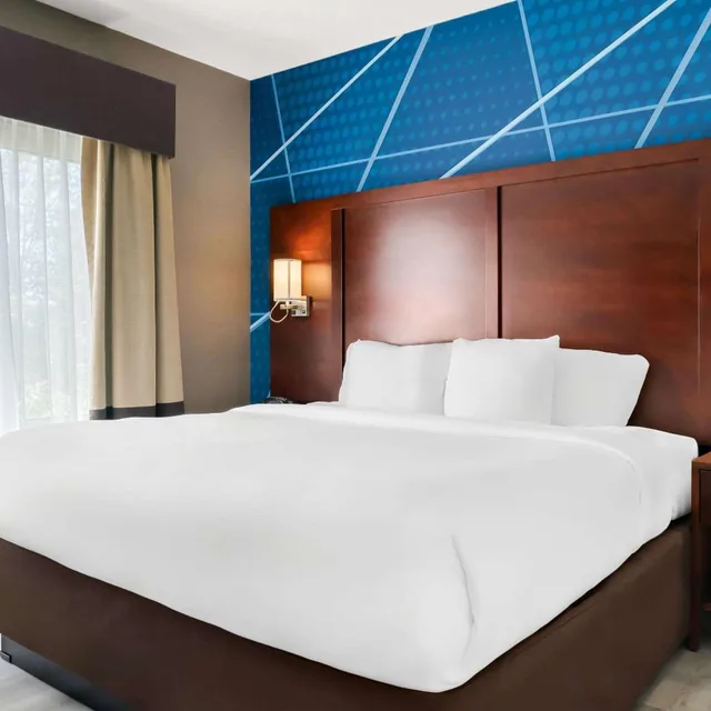 جناح سوبيريور بسرير كينج، Holiday Inn Express & Suites Southfield - Detroit 1/4