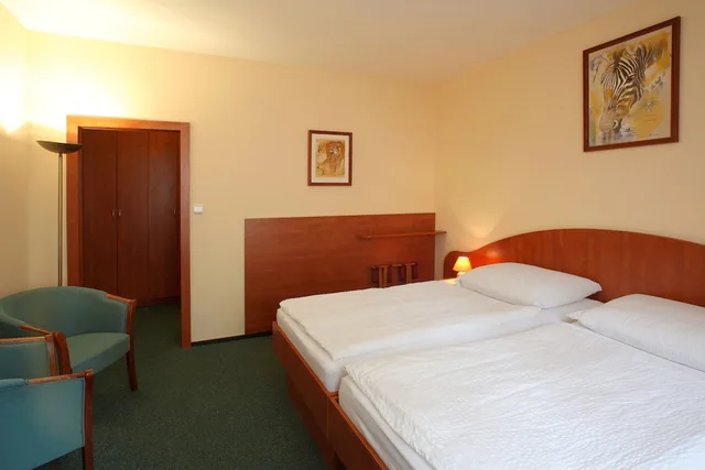 غرفة سوبيريور بسريرين منفصلين، Hotel Palace 2/5