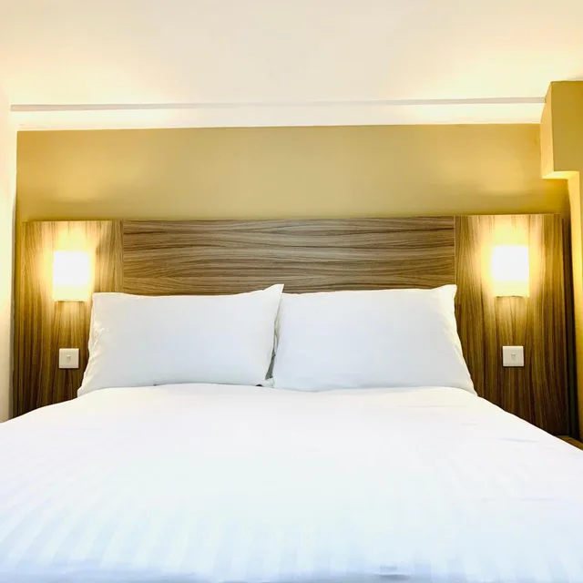 غرفة قياسية بسرير مزدوج، De Regency Style Hotel 5/8