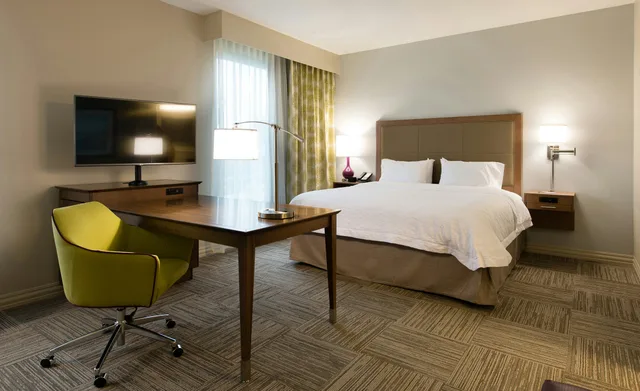 Studio, King Bed, Hampton Inn & Suites Orangeburg 2/6