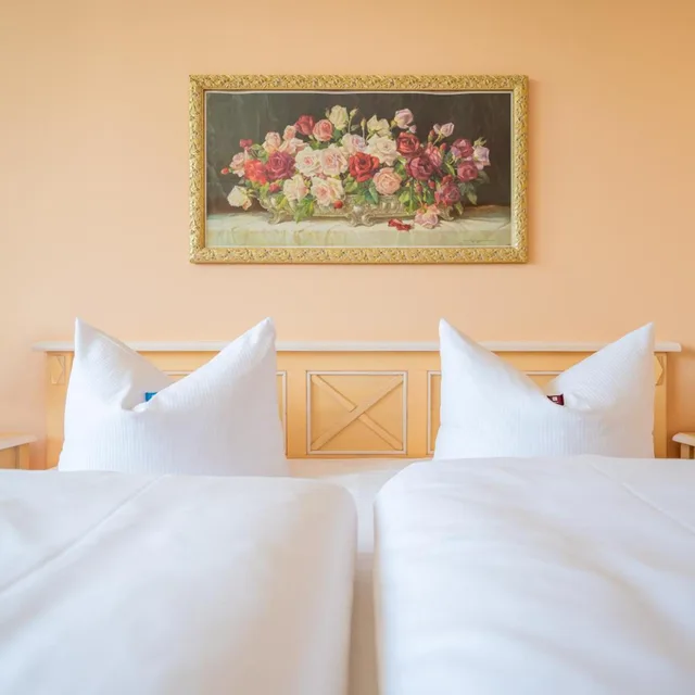 غرفة بسرير مزدوج بإطلالة على المدينة، Rugard Thermal Strandhotel 6/8
