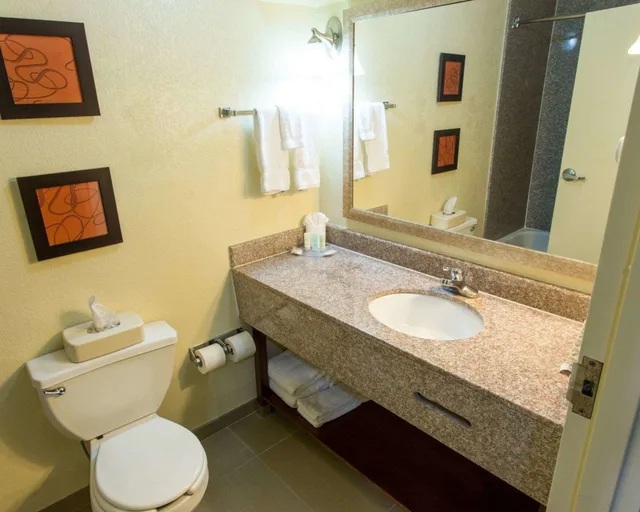 Suite, King Bed, Comfort Suites Port Allen - Baton Rouge 6/6