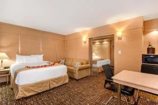 جناح بغرفة نوم واحدة، Ocean Beach Palace Hotel And Suites 6/10