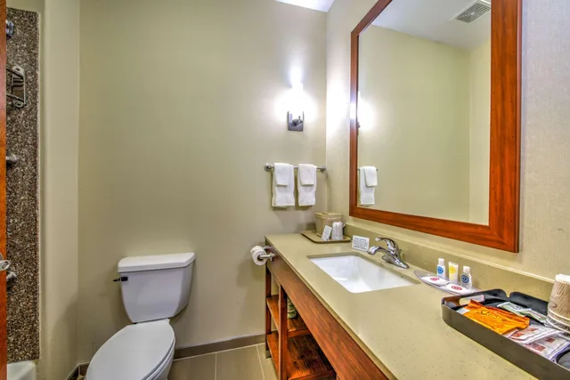 Suite, King Bed, Accessible, Comfort Suites Tomball Medical Center, TX 5/5