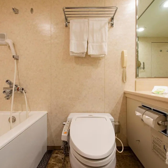 غرفة قياسية بسرير مزدوج للمدخنين، Okura Act City Hotel Hamamatsu 3/3