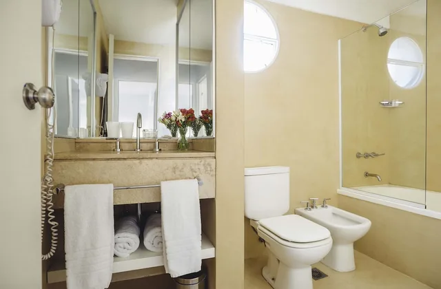 استوديو بسريرين منفصلين، DecO Recoleta Hotel 8/9