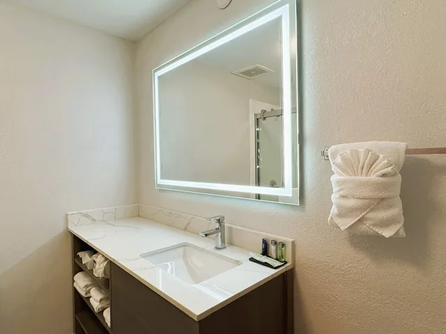 جناح بسرير كينج مع أريكة، Comfort Inn & Suites Sheboygan I-43 6/6