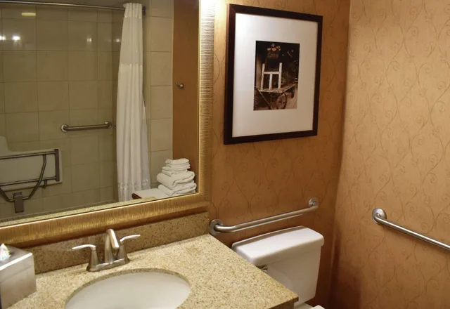Standard, Double Bed, DoubleTree by Hilton Hotel Asheville Biltmore 2/3