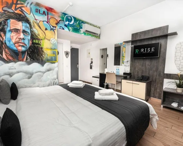 غرفة ديلوكس مفردة بسرير مزدوج، Rise Street Art Hotel 4/9