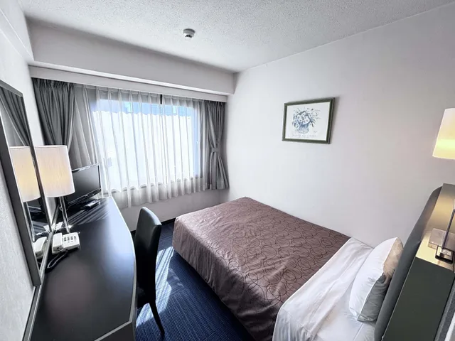 غرفة ديلوكس مفردة، Grand Central Hotel 2/3
