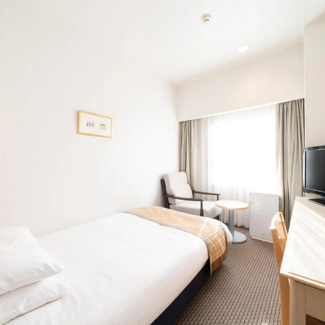 غرفة مفردة، Hotel Terrace The Square Hitachi 1/20
