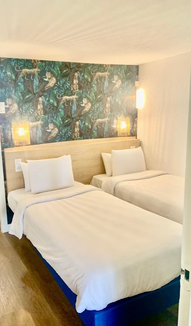 غرفة قياسية بسريرين منفصلين بغرفة نوم واحدة، Hollywood Hotel Cannes 1/4