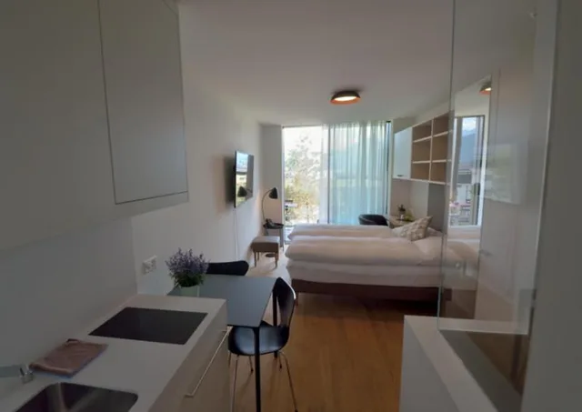 1 Bedroom, Connecting, Studio, Apartment, House, King Bed، Campus Hotel Hertenstein 4/7