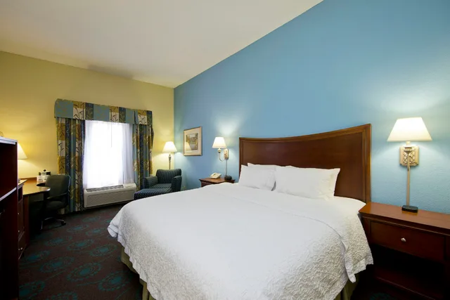 غرفة بسرير كينج لذوي الإعاقة، Hampton Inn Martinsburg South-Inwood 7/10