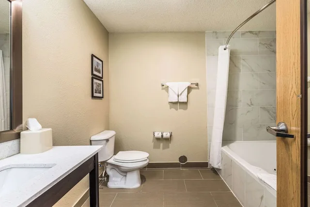 غرفة قياسية بسرير كينج بحوض جاكوزي، Comfort Inn Downtown Detroit MI 8/9