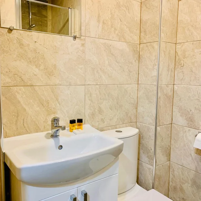 غرفة قياسية مفردة، De Regency Style Hotel 5/8