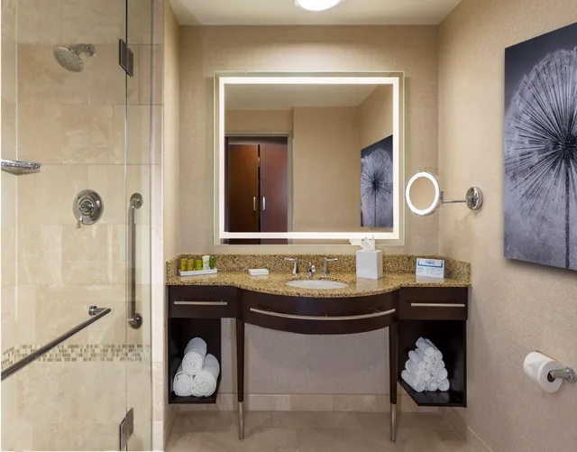 غرفة تنفيذية بسرير كوين، Hilton Americas Houston 6/6