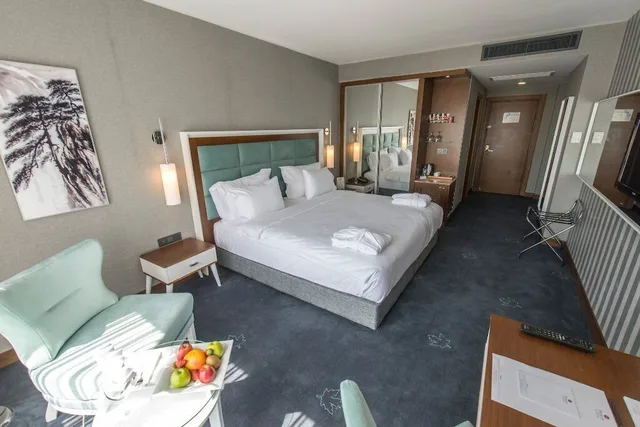 Deluxe, Premier Inn Sakarya 2/4