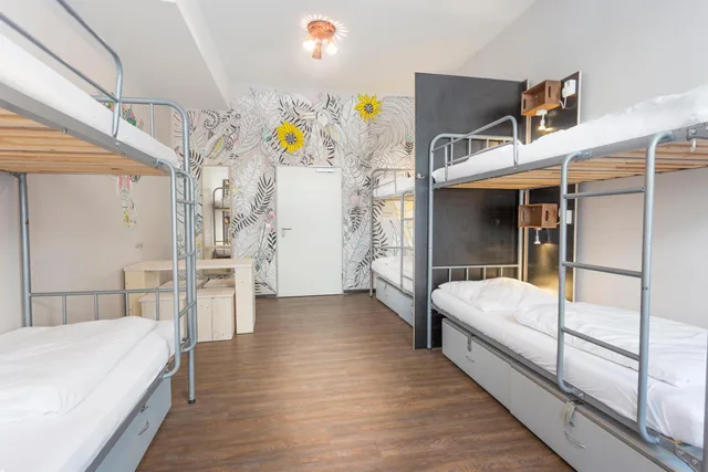 سكن مشترك بستة أسرّة للنساء، Sunflower Hostel 1/2